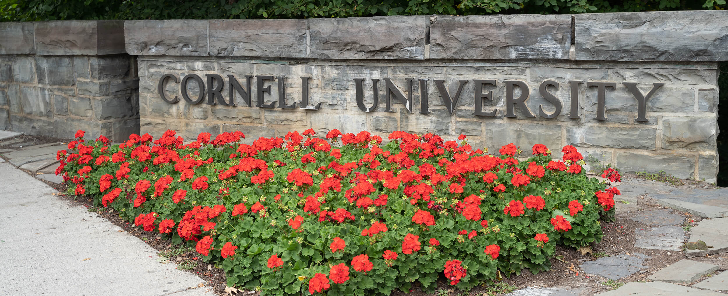 Cornell University